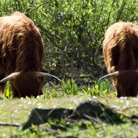 Aquahome - Np De Biesbosch - Bijzonder Overnachten Op Houseboat!