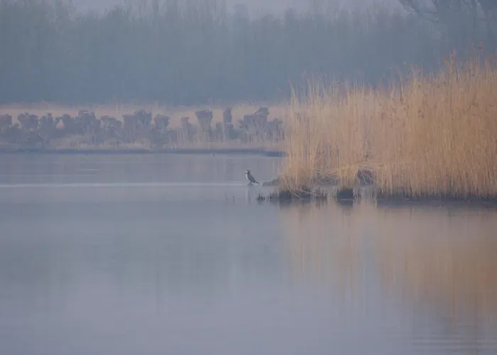 Chalet Aquahome - Np De Biesbosch - Bijzonder Overnachten Op Houseboat!