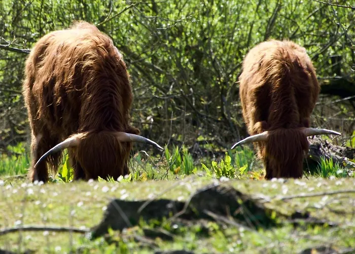 Aquahome - Np De Biesbosch - Bijzonder Overnachten Op Houseboat!