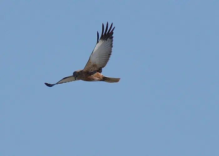 Aquahome - Np De Biesbosch - Bijzonder Overnachten Op Houseboat! *