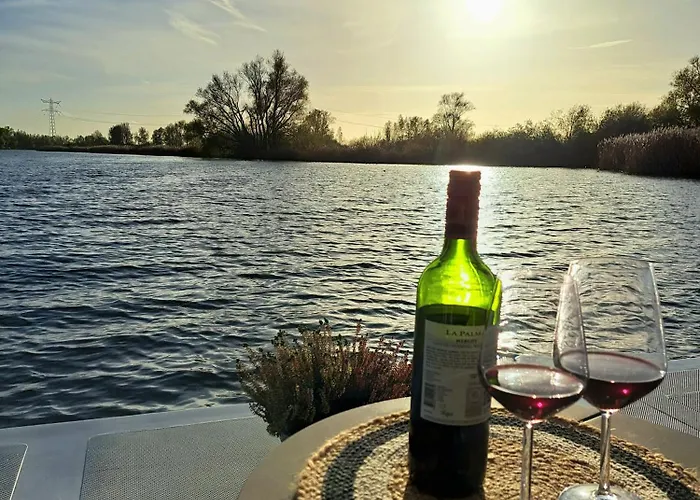 Aquahome - Np De Biesbosch - Bijzonder Overnachten Op Houseboat! * Werkendam