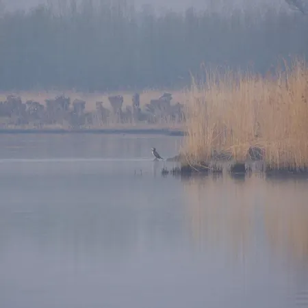 Chalet Aquahome - Np De Biesbosch - Bijzonder Overnachten Op Houseboat!